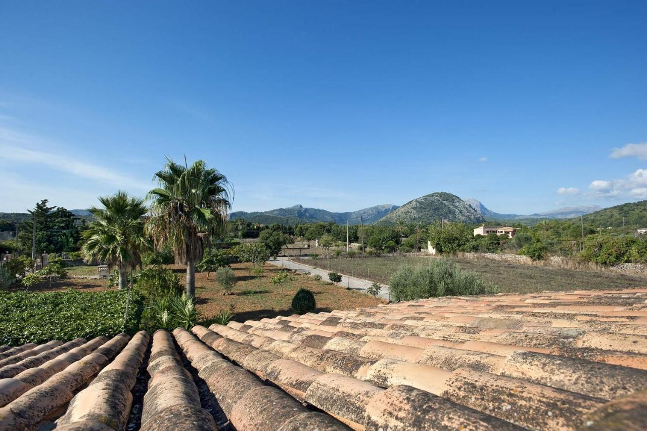 Pinto By Puerto Pollensa